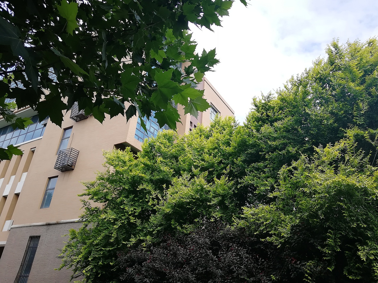 学院+舜帝陵（图ZMTk0NzQ5MDUy） - 风光摄影 - 站酷设计师小辣娜原创素材 - 站酷ZCOOL