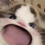 甜甜超级田的头像