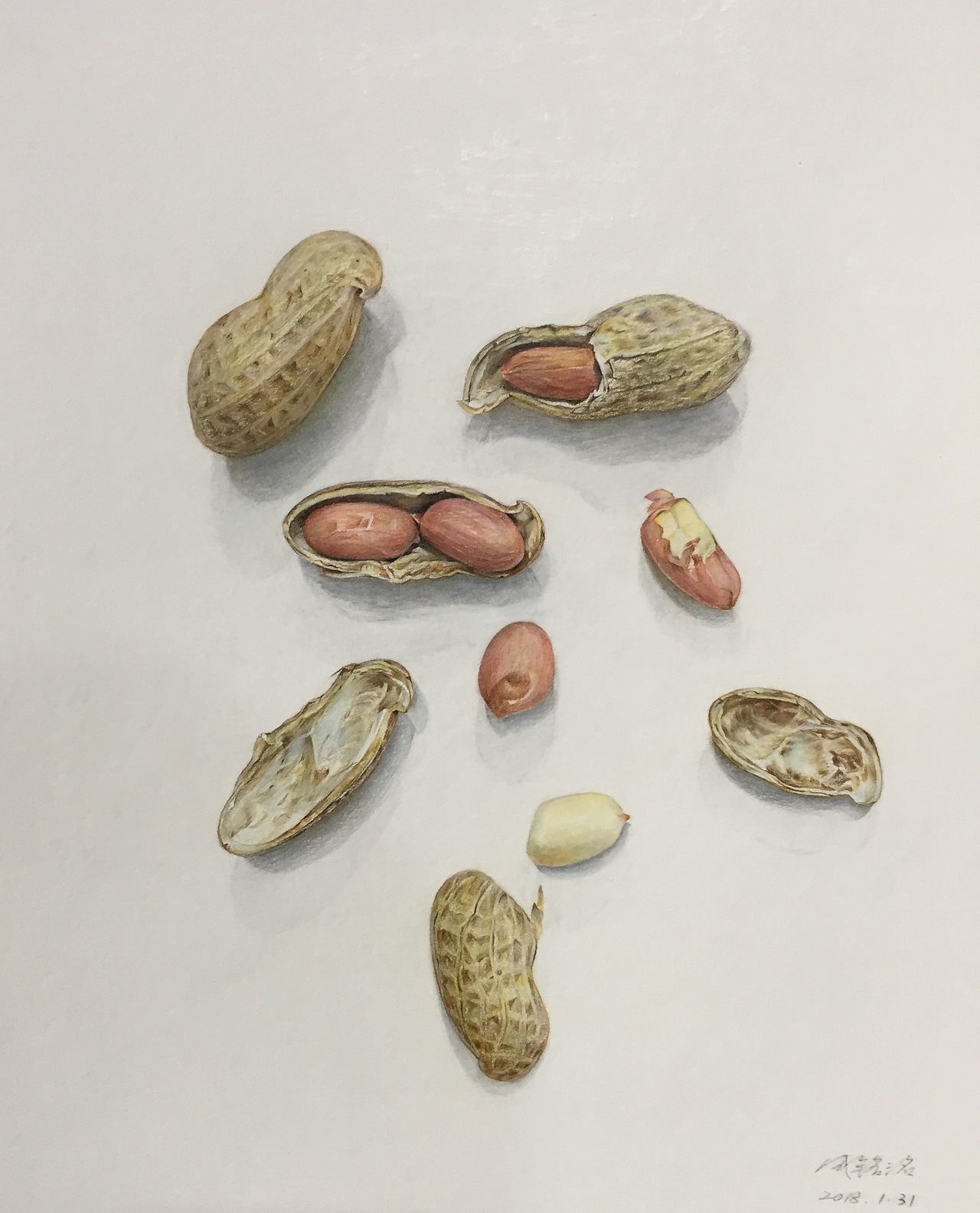纸本彩铅作品花生