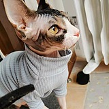 Vita张一的头像