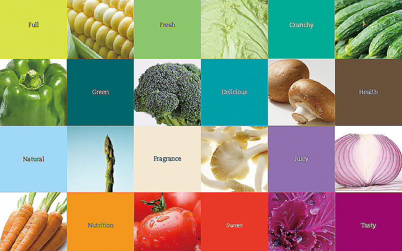 希望田园品牌形象设计