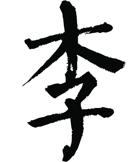 李字繁体书法图片