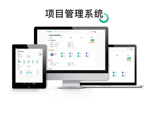 项目管理系统后台页面