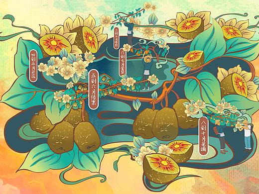 【包装插画设计】猕猴桃