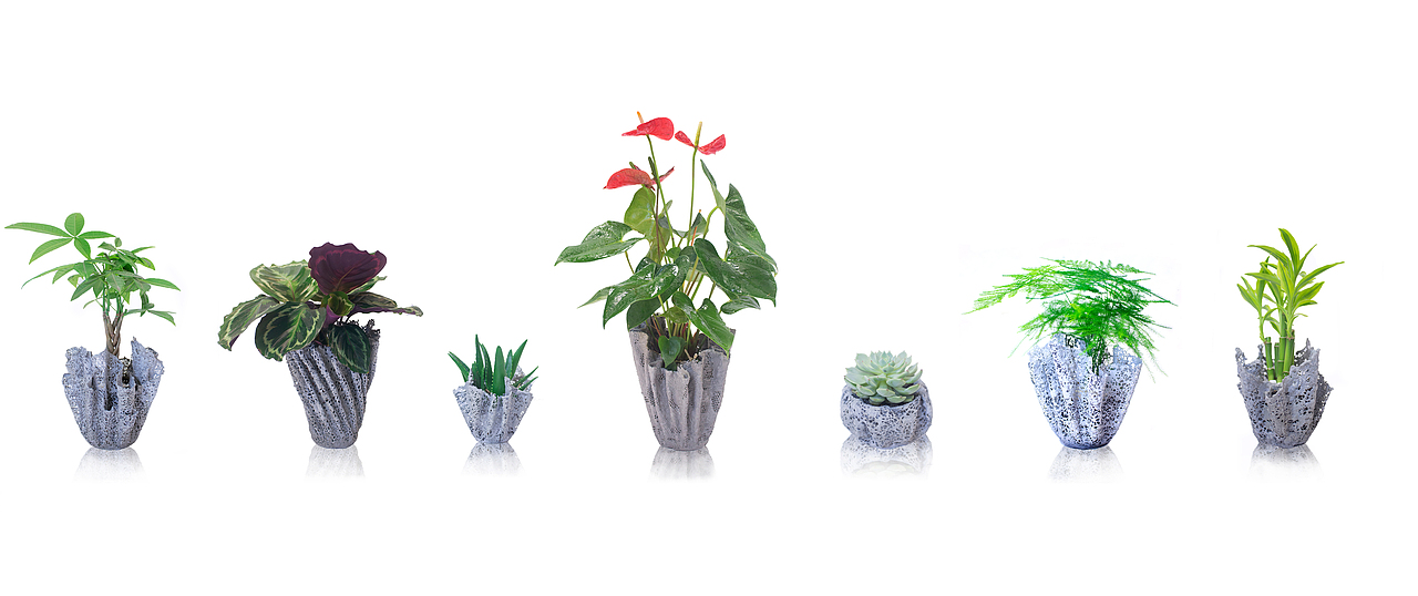 创意花盆设计#青春答卷2017#（图ZMTAzMDEwOTgw） - 其他手工艺 - 站酷设计师FANGPEN原创素材 - 站酷ZCOOL