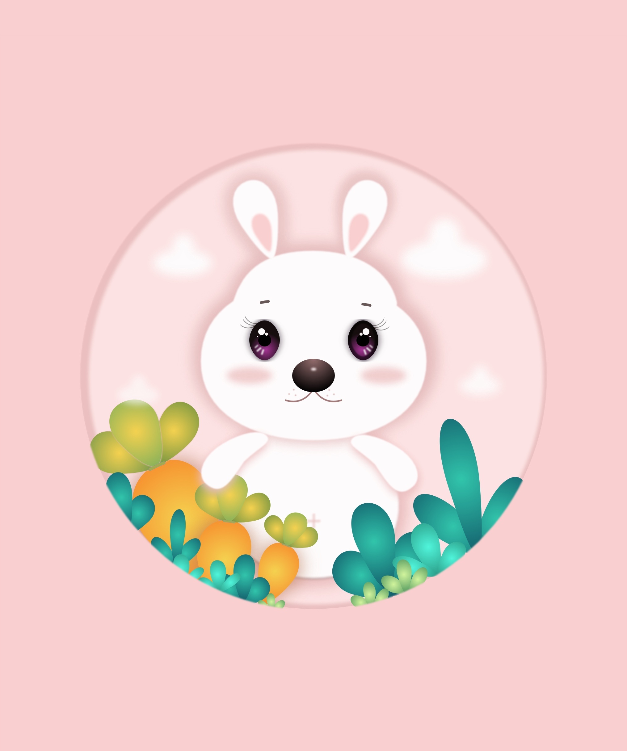 小白兔,白又白|插画|创作习作|佛系cc - 原创作品 - 站酷 (zcool)