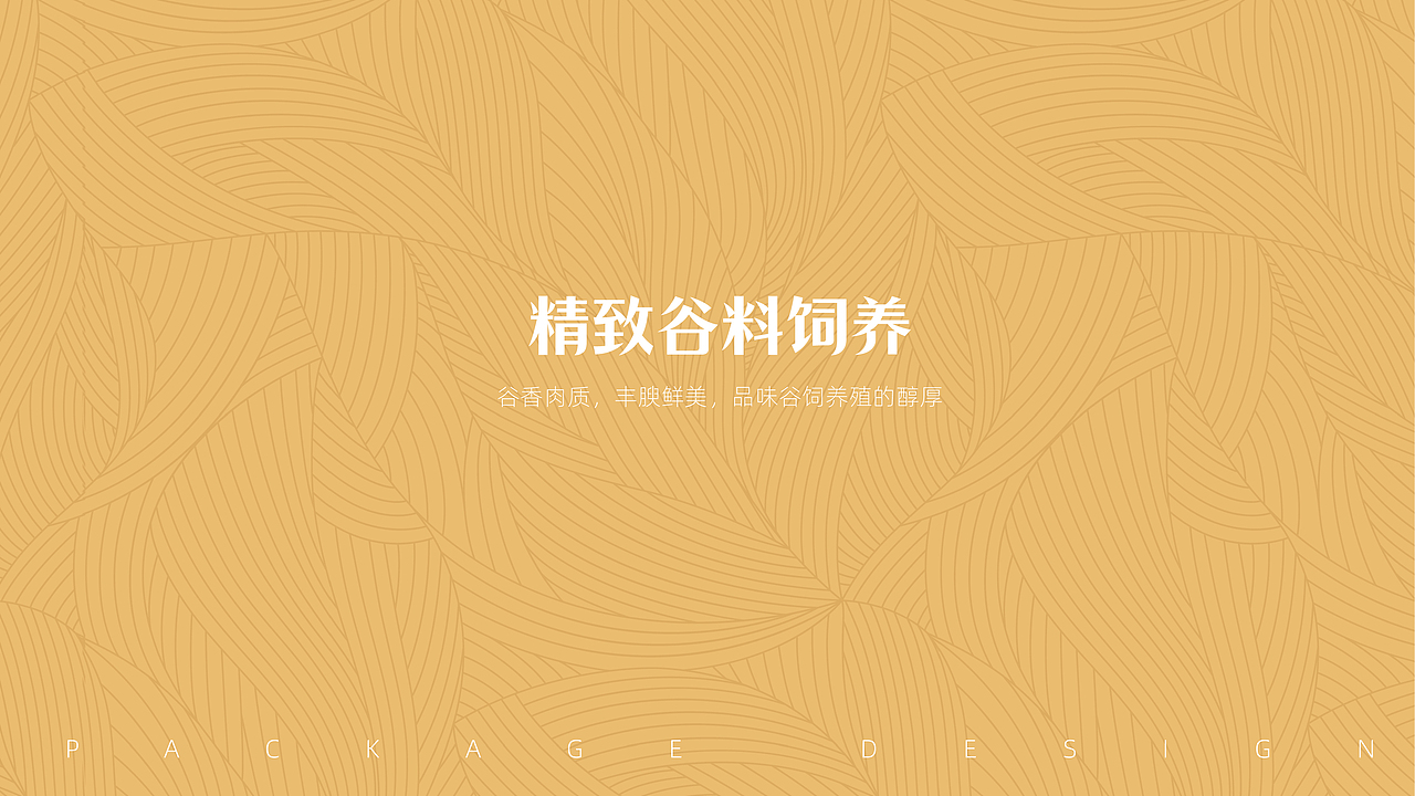 牛肉礼盒设计（图ZMzY1NzYwODQ0） - 包装 - 站酷设计师有限公司小设计原创素材 - 站酷ZCOOL