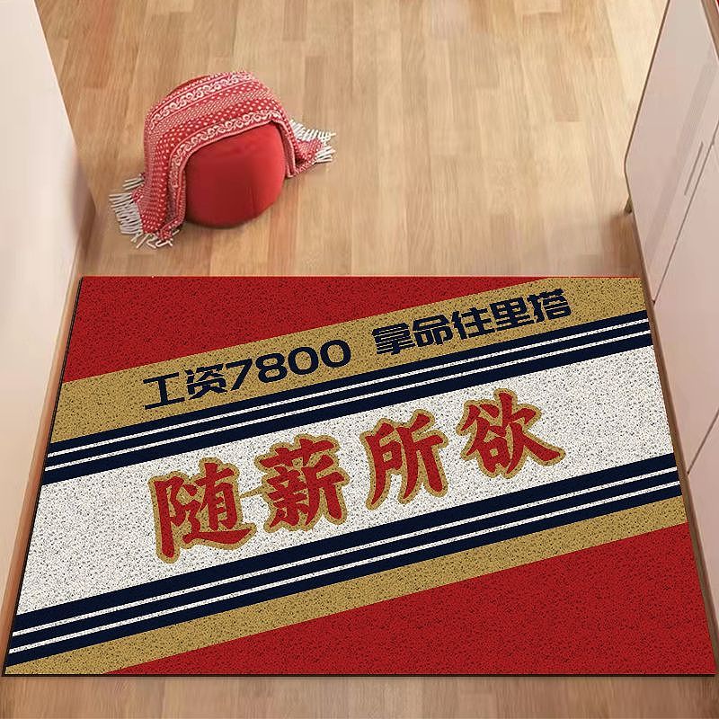 酱香拿铁新款丝圈地垫入户门玄关进门地毯