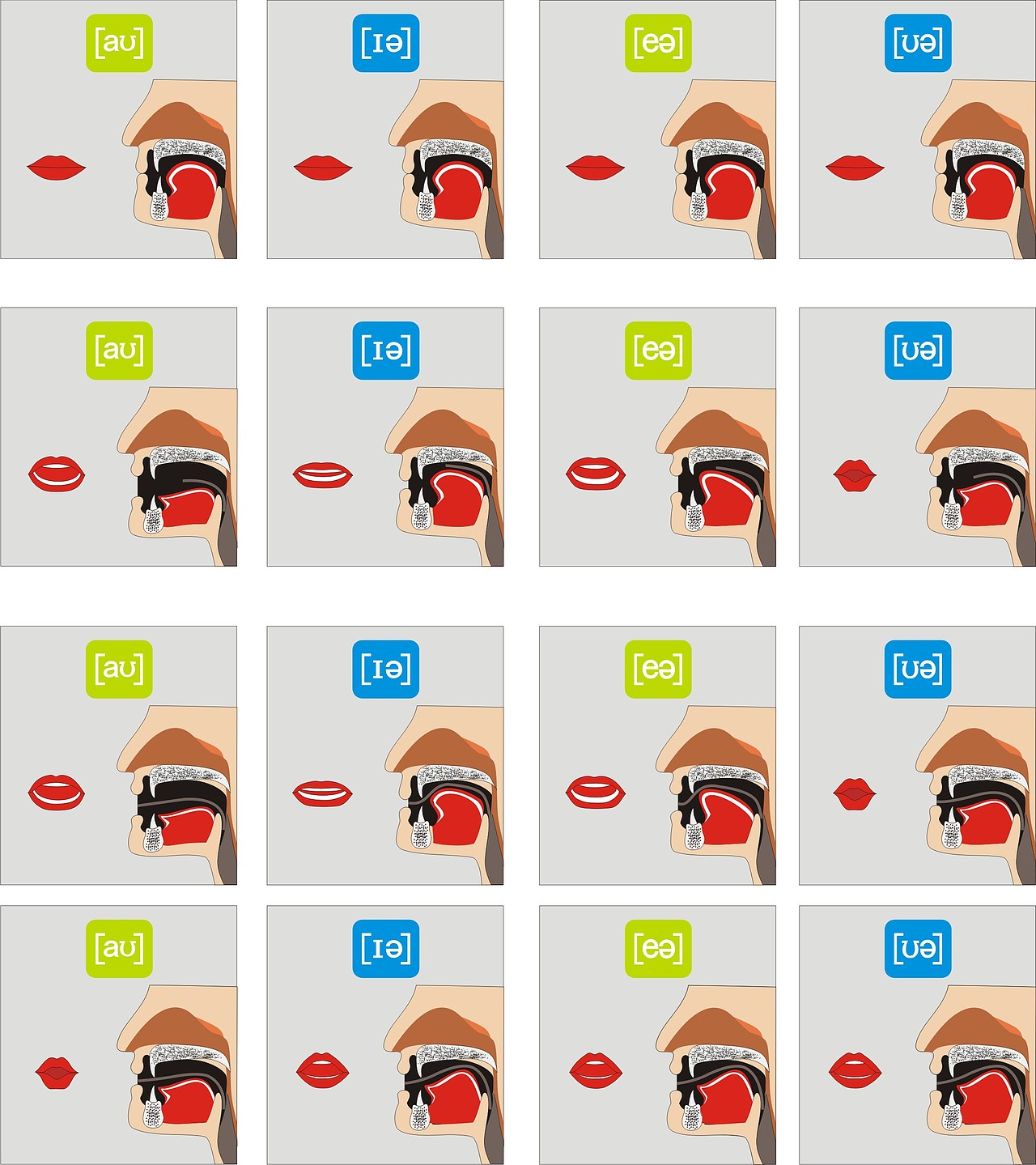 做动画的朋友注意了自己做的发音嘴形gif