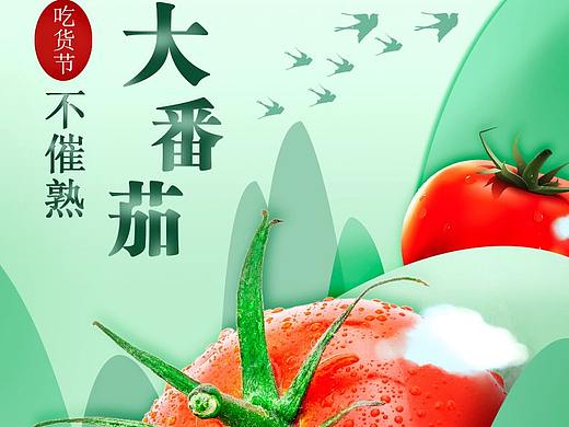 大番茄主图