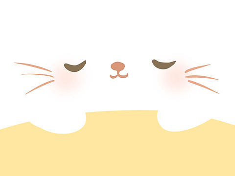 🐱 晚安喵