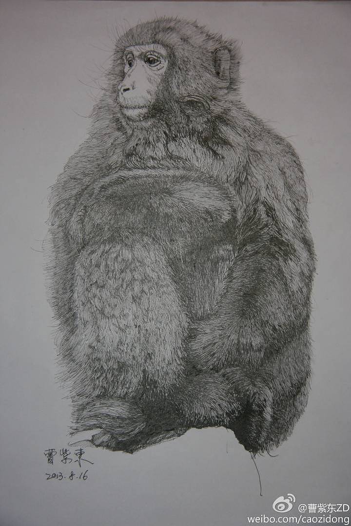 《猴》
