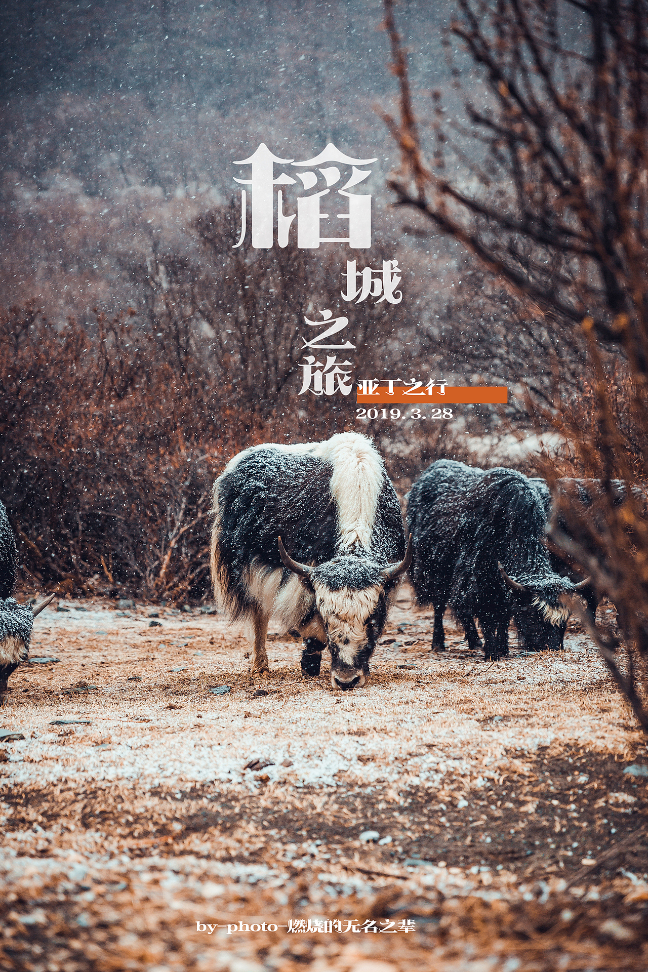 稻城之旅.亚丁之行