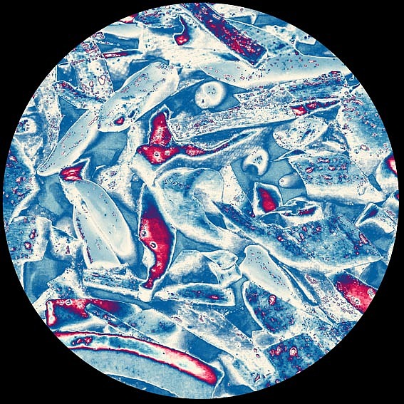 【摄影】那些食用的－无用（图ZNTkwNDIwNA==） - 其他摄影 - 站酷设计师naza原创素材 - 站酷ZCOOL