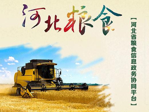 河北粮食（个人主页-ZMzM3Mzk5MDQ=） - 其他网页 - 站酷设计师小碗浇面原创素材 - 站酷ZCOOL