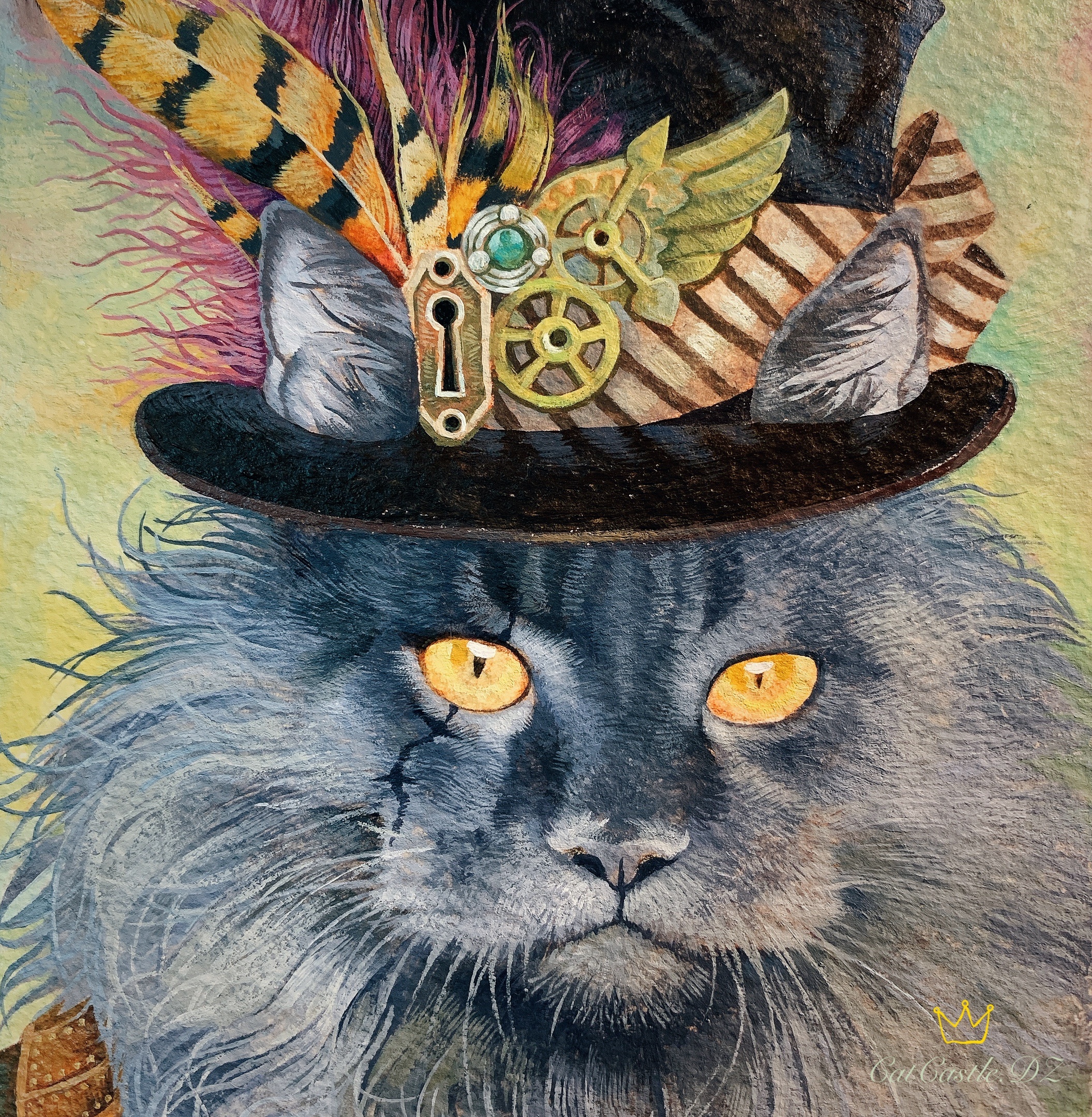 灵羽朋克缅因猫