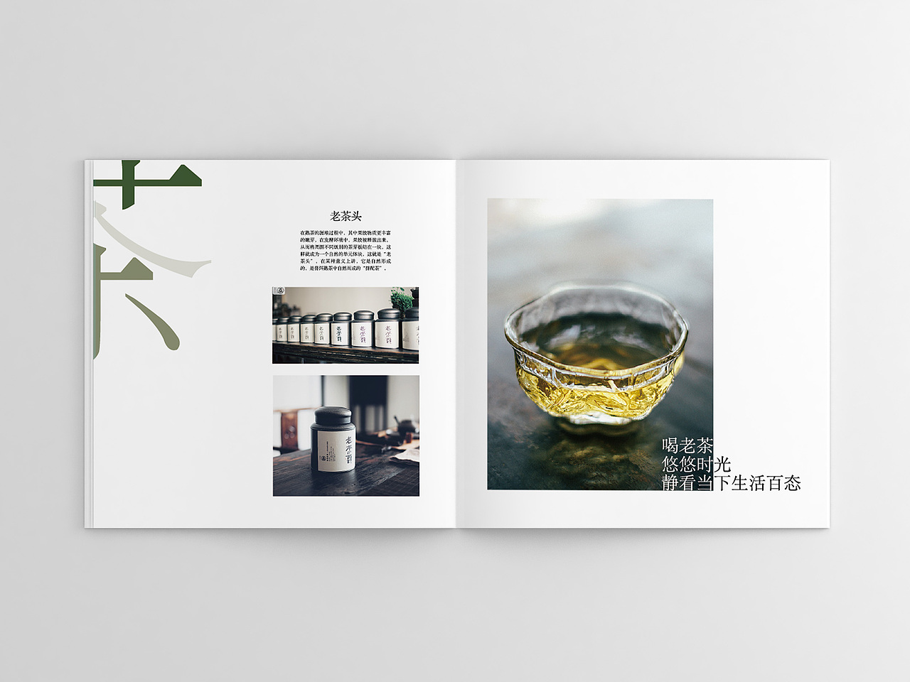 画册（图ZMTU1ODQ0NTEy） - 书籍/画册 - 站酷设计师布里斯托鱼和薯条原创素材 - 站酷ZCOOL