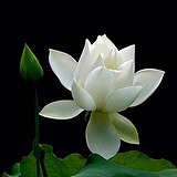 crisy0921的头像