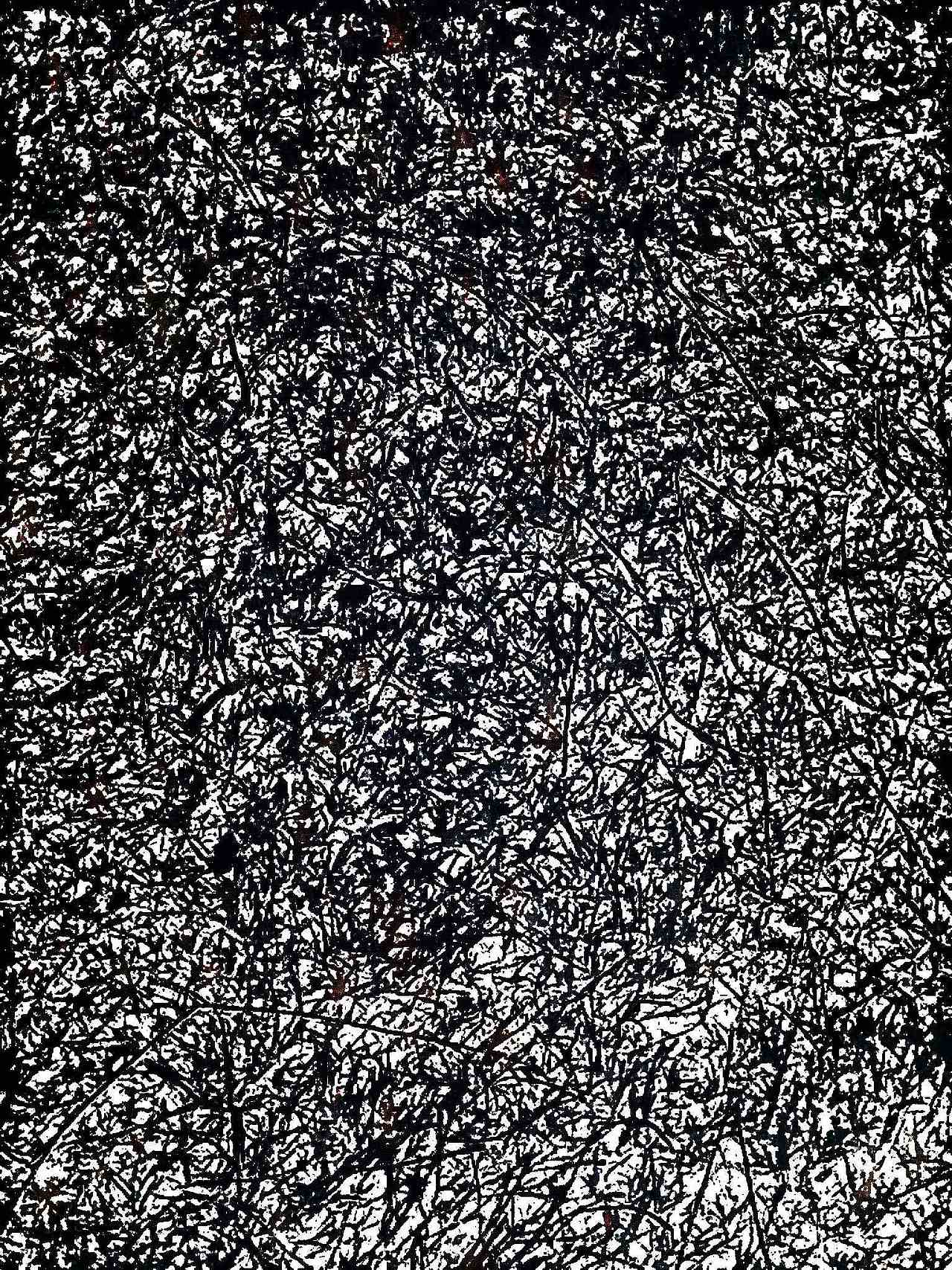 胡冠英抽象作品系列6520.