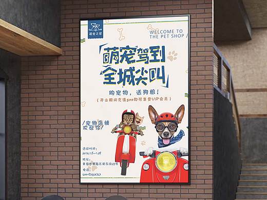 宠物海报