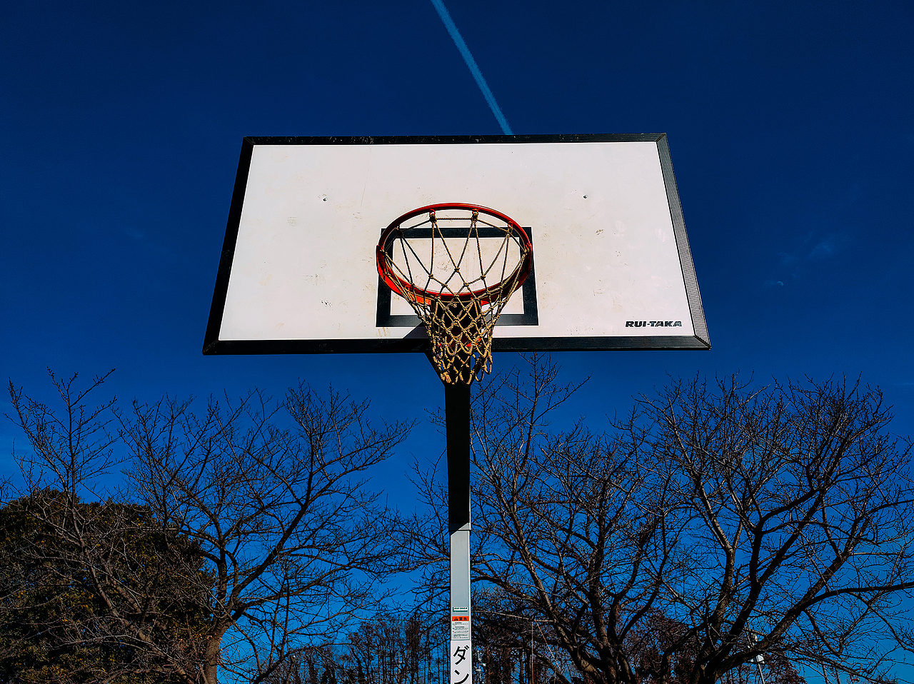 realme X50手机样片拍摄