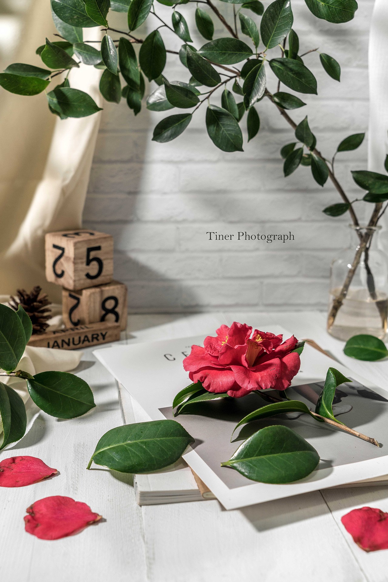 2018.1-2月静物摄影合集（图ZMTA2NjUxNDcy） - 产品摄影 - 站酷设计师Tiner宅宅原创素材 - 站酷ZCOOL