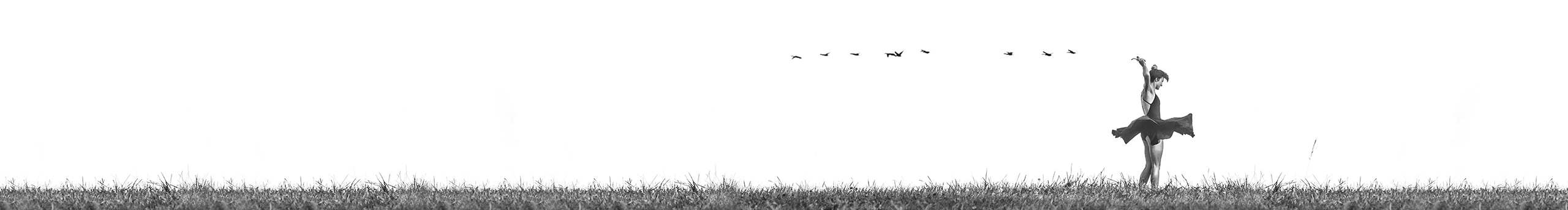 Moon_Cat6的個(gè)人主頁(yè)（封面預(yù)覽） - 主頁(yè)封面設(shè)置 - 站酷設(shè)計(jì)師Moon_Cat6原創(chuàng)素材 - 站酷ZCOOL