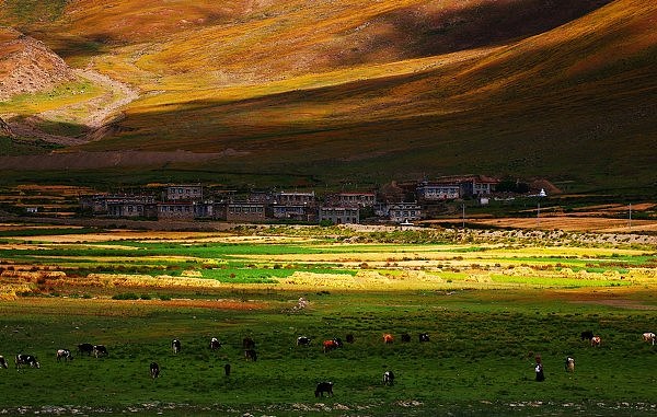 转山转水转佛塔,不为修来世,只为途中与你相见 ——— 颠藏线的天堂