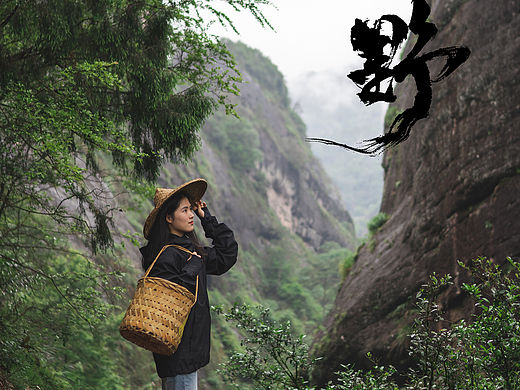 武夷山