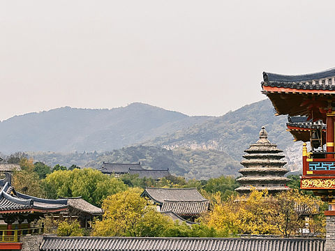 手机摄影|唐城 中式建筑