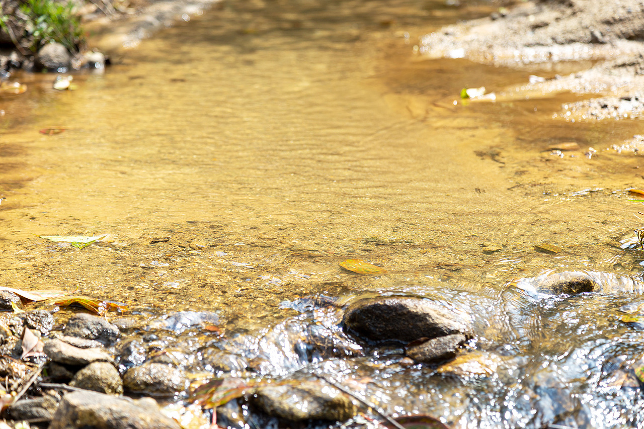 春游（图ZMjk4Mzc5ODMy） - 风光摄影 - 站酷设计师zhaohaijung原创素材 - 站酷ZCOOL