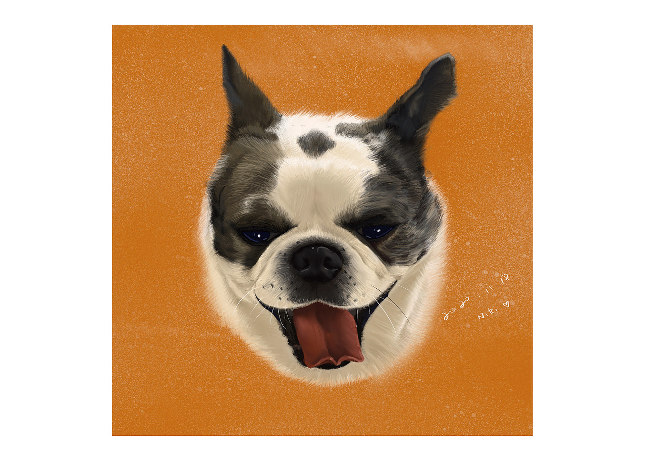 其他商业设计和手绘作品