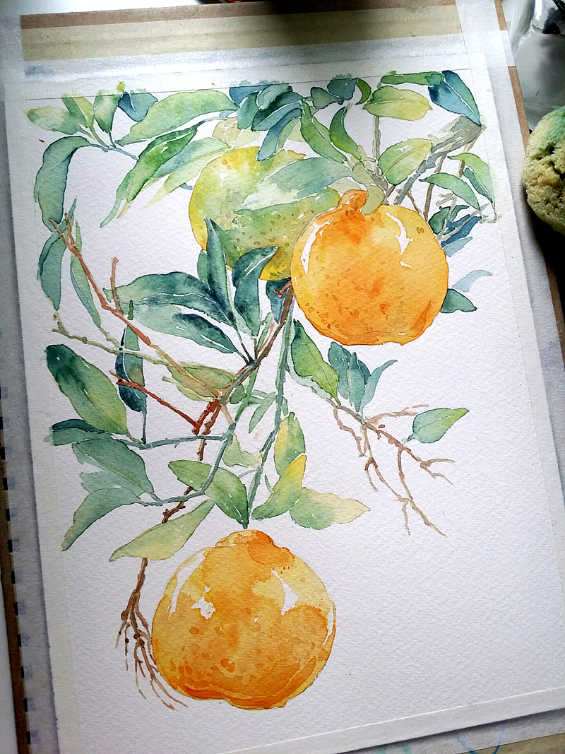 火儿水彩《橘》（图ZNTY2ODQ2MzI=） - 绘画 - 站酷设计师火儿原创素材 - 站酷ZCOOL