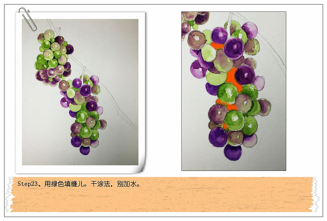 【驴大萌水彩教程021】手绘水果葡萄