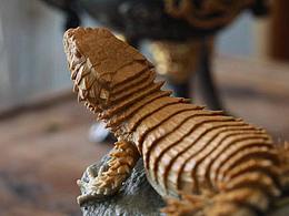 秋塢居高端蜥蜴石雕篆刻寫實作品