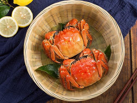 蟹爸爸 大闸蟹拍摄合集