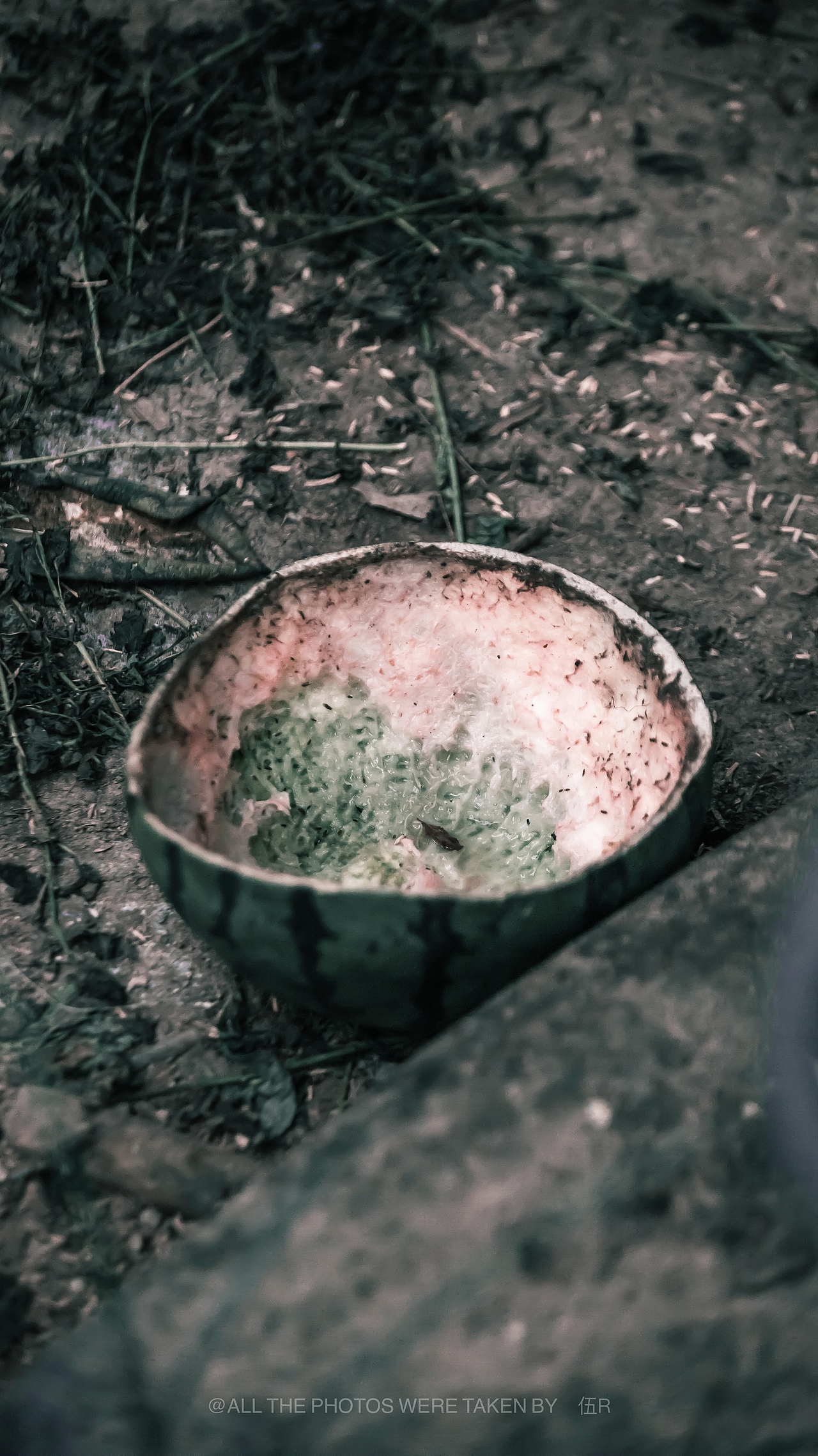 南京江乡小镇（图ZMzAyOTc5NDAw） - 风光摄影 - 站酷设计师无声无故原创素材 - 站酷ZCOOL