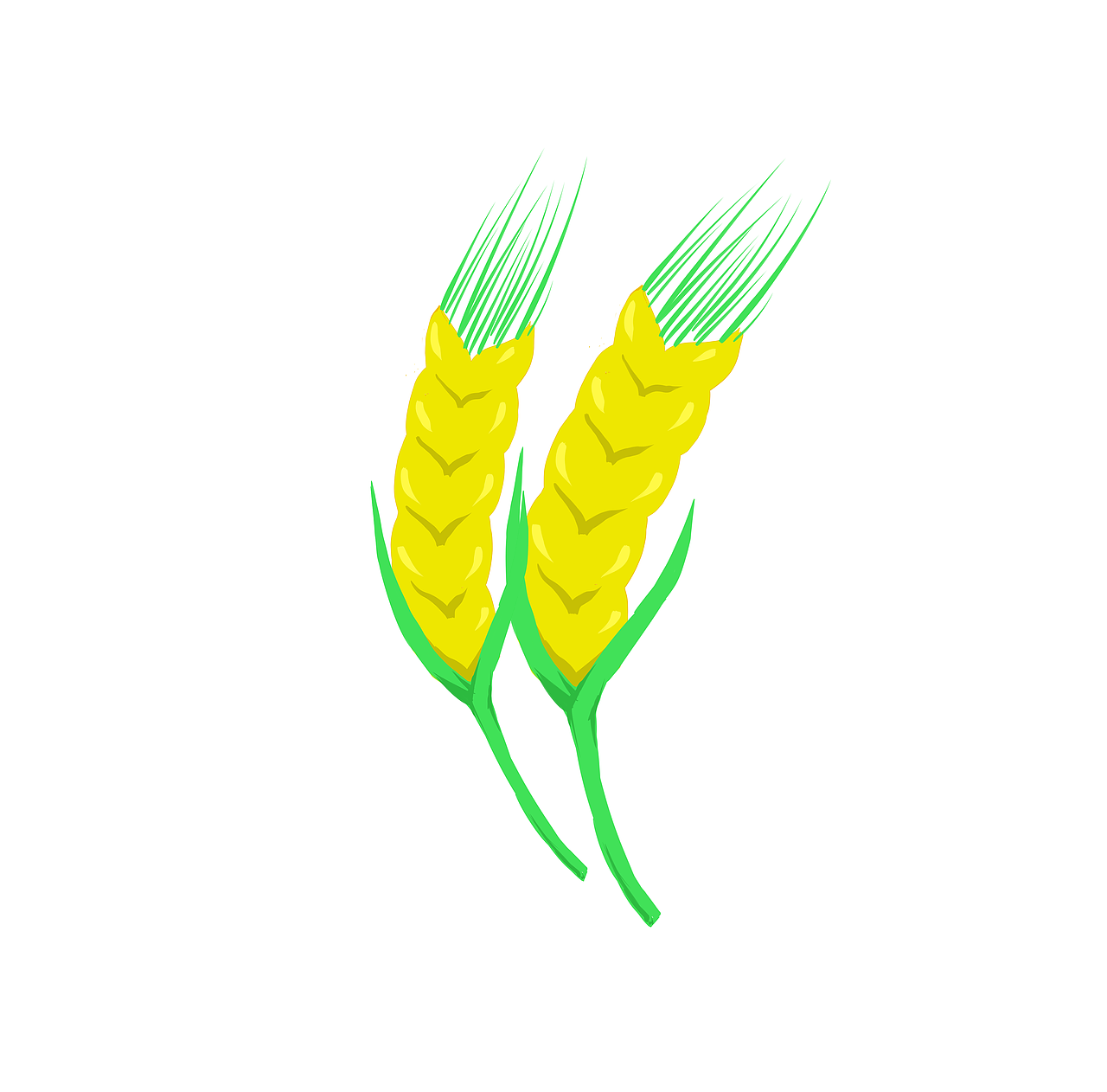 儿童认知插画（图ZODI1NjIzOTY=） - 儿童插画 - 站酷设计师Ray______原创素材 - 站酷ZCOOL