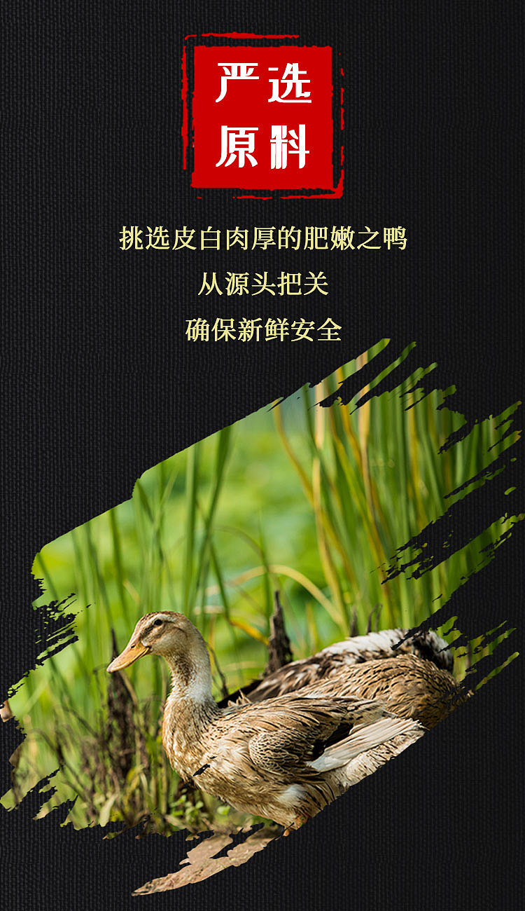 详情页（图ZMjQzNDYyODUy） - 电商 - 站酷设计师竹子菇凉原创素材 - 站酷ZCOOL