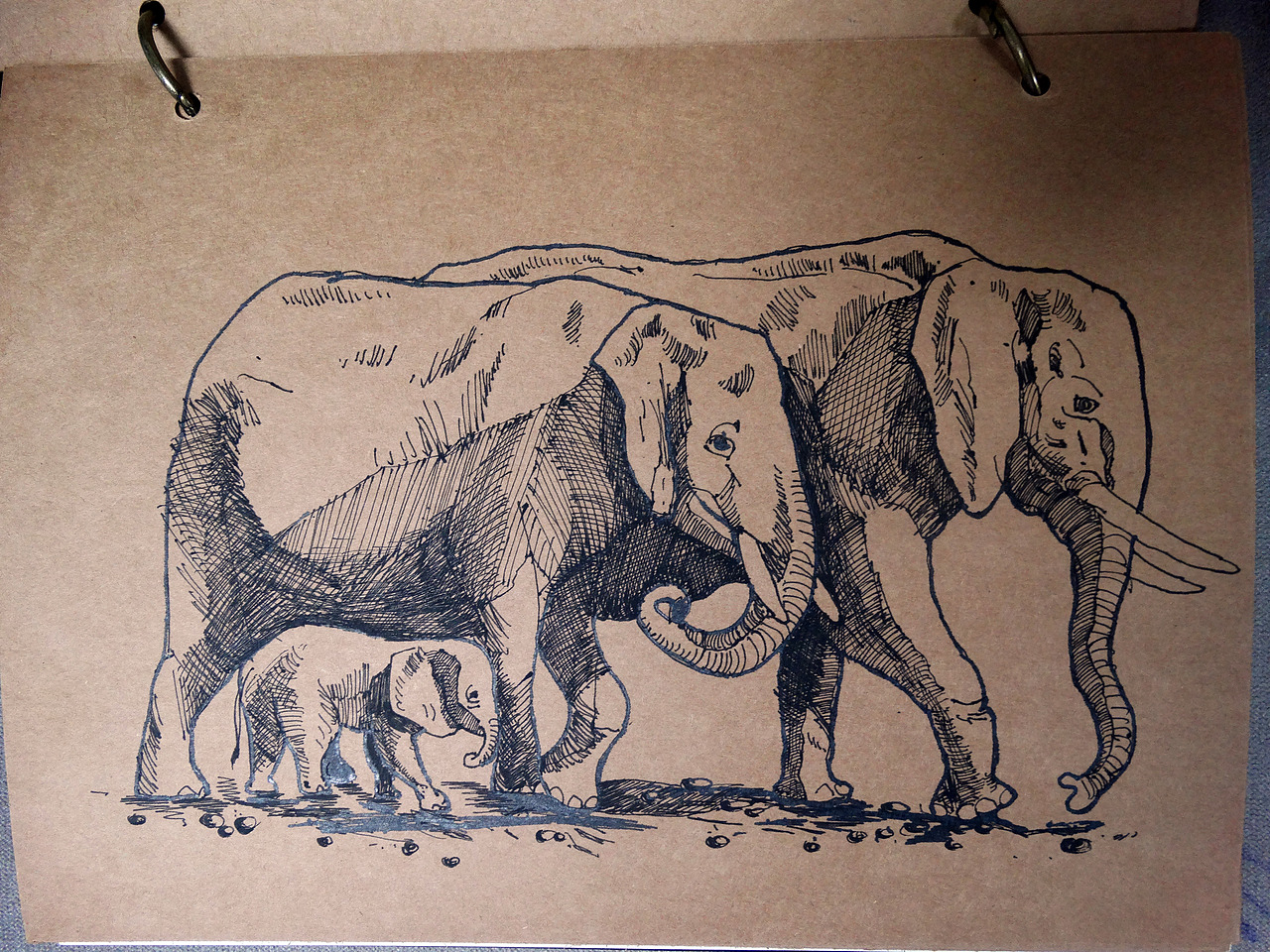 河马餐厅+长颈鹿房子+大象餐厅手绘（图ZNzk5ODczNjQ=） - 绘画 - 站酷设计师九层之台原创素材 - 站酷ZCOOL