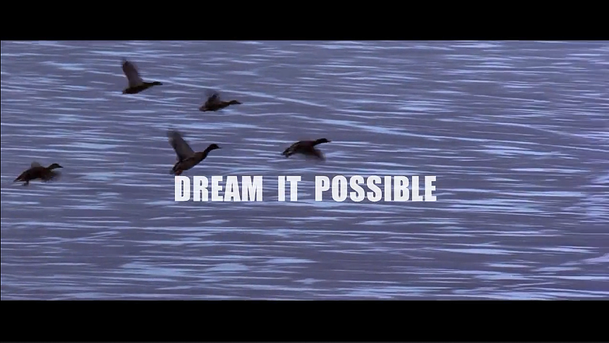dream it possible