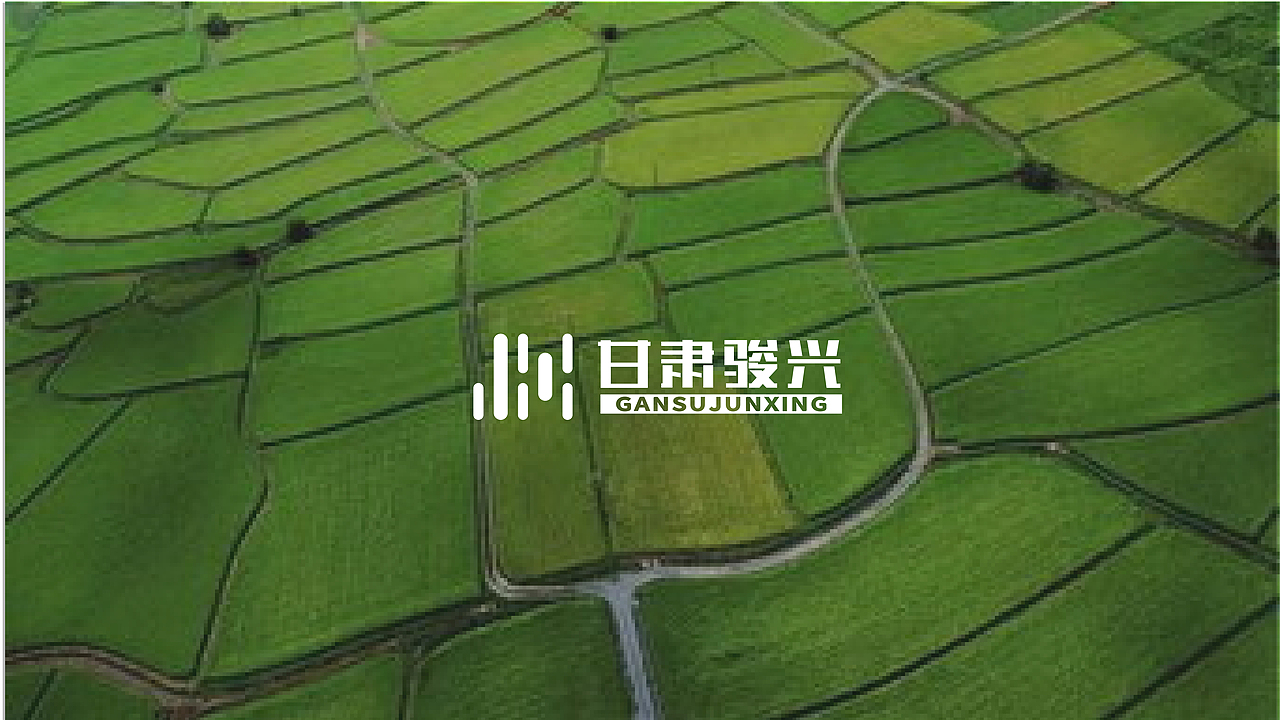 駿興農(nóng)業(yè)LOGO（飛機(jī)稿）（圖ZMjM5Mjc4NTk2） - Logo - 站酷設(shè)計(jì)師不正經(jīng)的設(shè)計(jì)獅原創(chuàng)素材 - 站酷ZCOOL