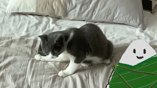 疫情上半年都干了些啥呀我