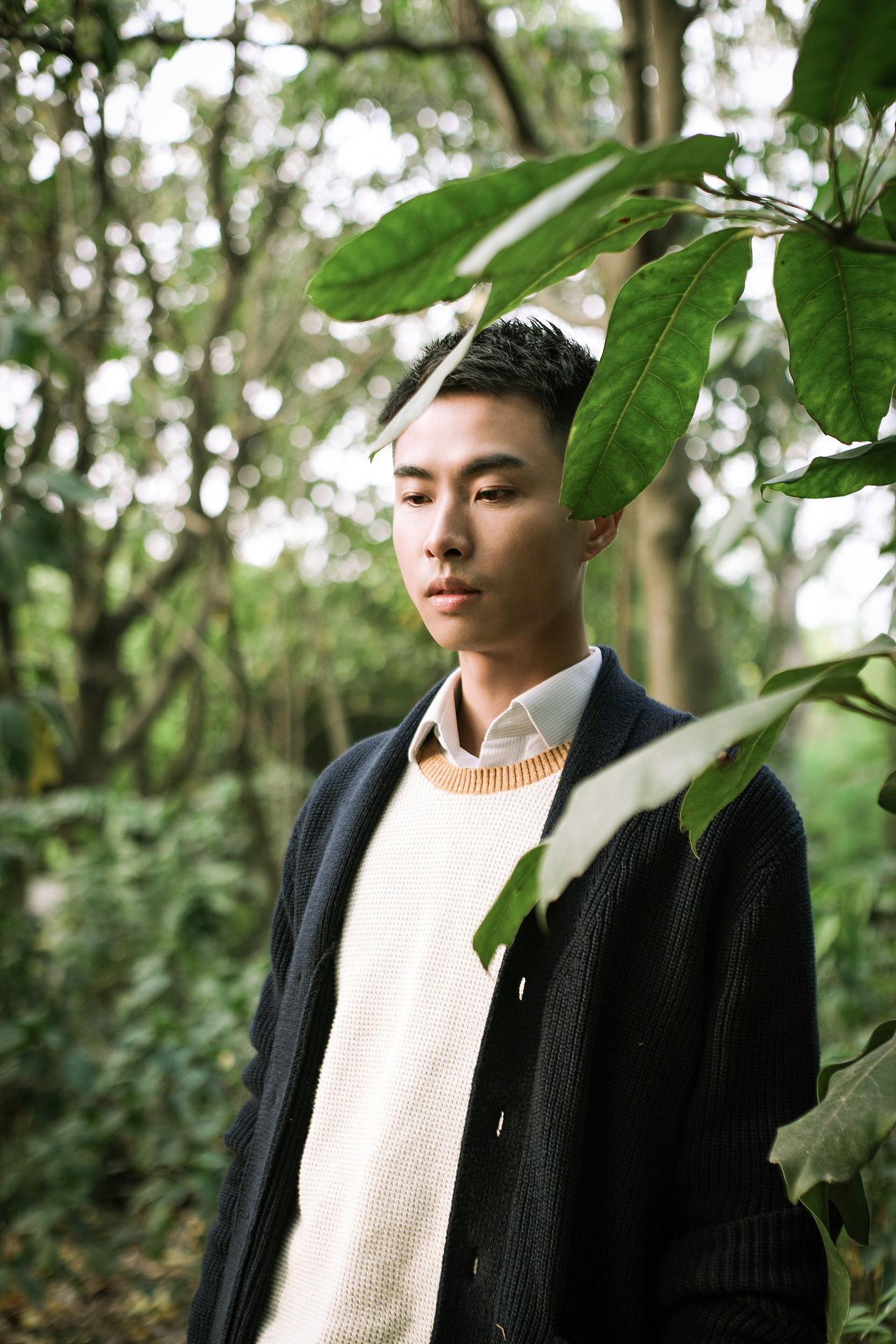 玫瑰与小鹿 ——