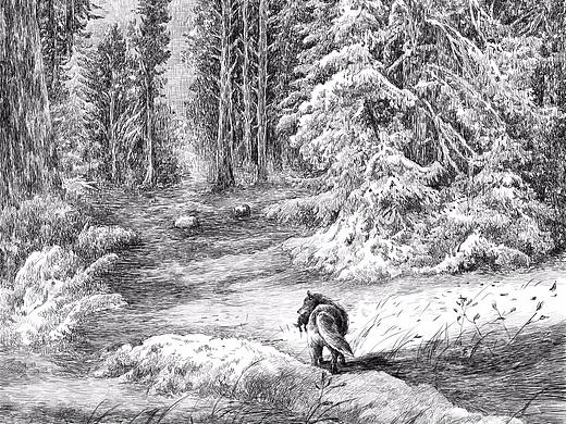 狼系列（个人主页-ZMjg2Mjg2NjA=） - 商业插画 - 站酷设计师花间泪文化创艺原创素材 - 站酷ZCOOL