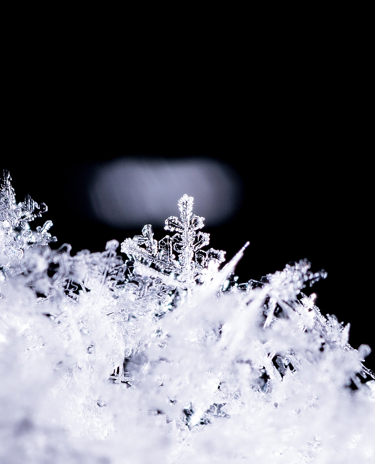 微观世界看雪花
