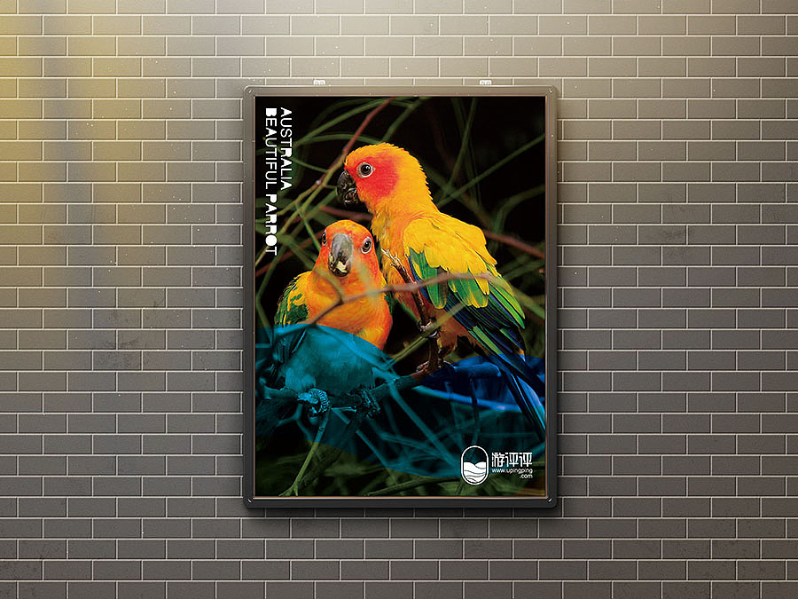 游评评网页设计方案