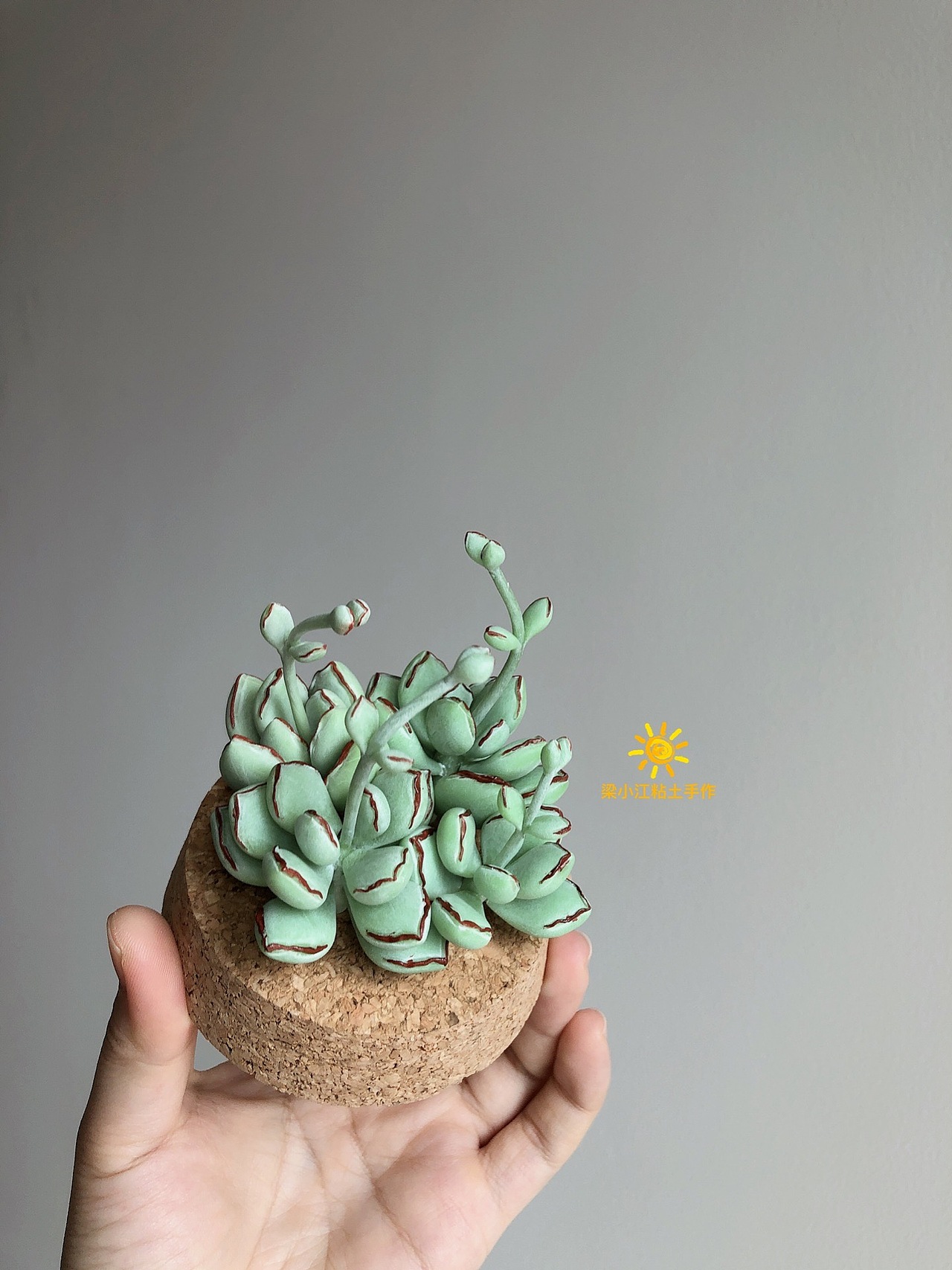 粘土多肉—巧克力线