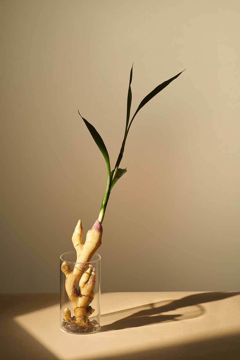 也许是最近的流量密码拍摄手法（图ZMzE4NDE5OTQw） - 产品摄影 - 站酷设计师别动摄影有限公司原创素材 - 站酷ZCOOL