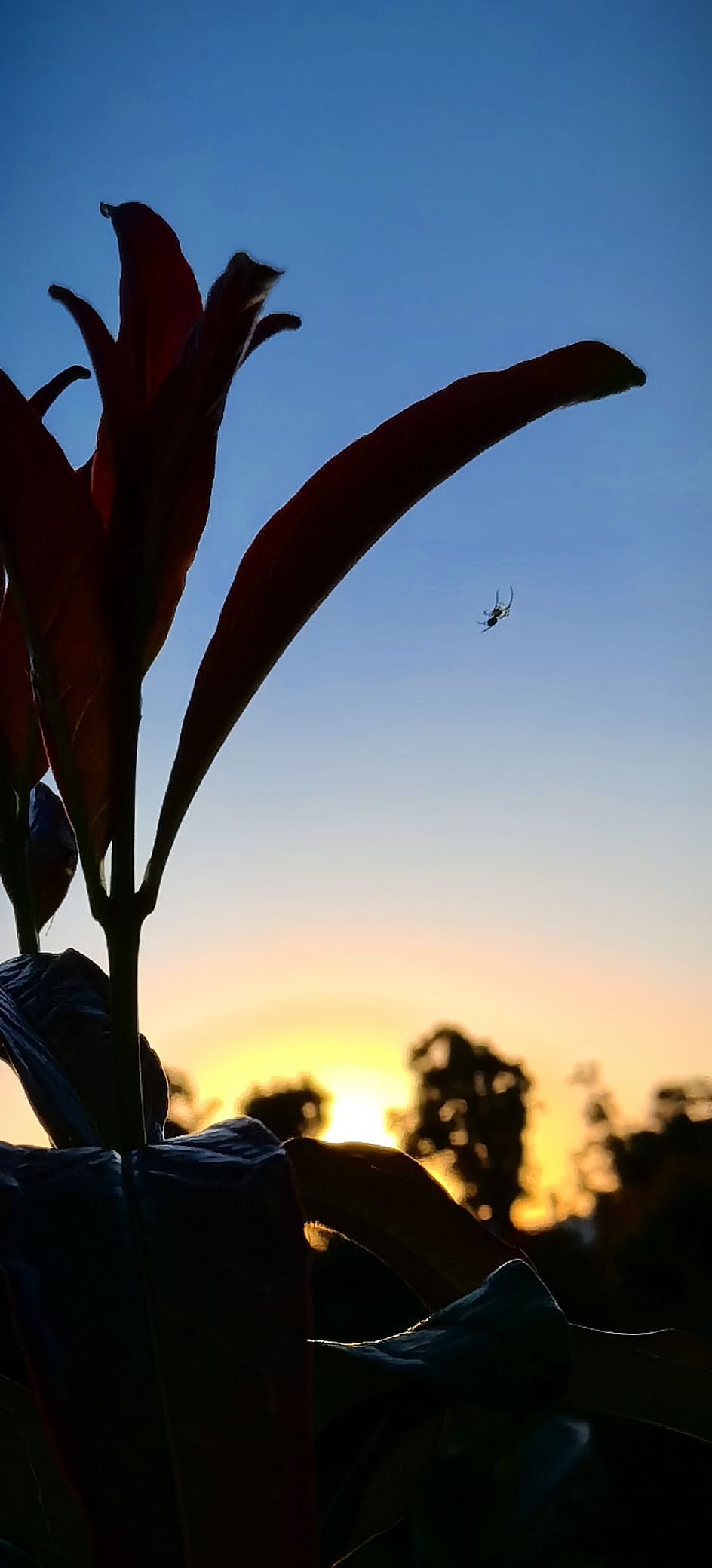 最美夕阳红（图ZMzY4NjgyMzI4） - 风光摄影 - 站酷设计师Z304427813原创素材 - 站酷ZCOOL